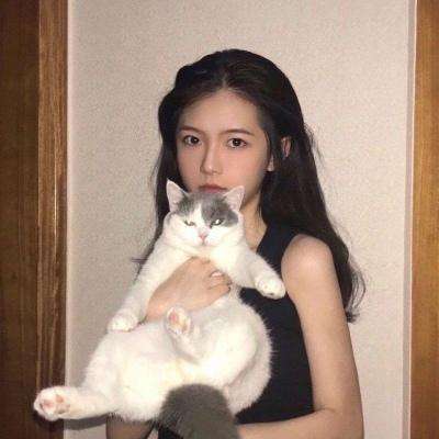 龙城圣歌果盘官方版下载